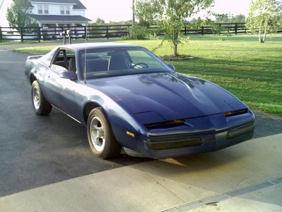 cartersfirebird (2)