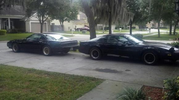 My Babies!