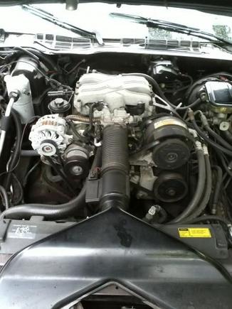 Good view of snorkel intake system