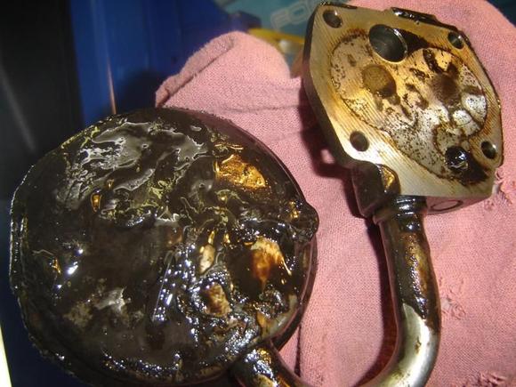 car would blow the oil filter off when you tried to start it.  this was the condition of the oil pickup.  not the rust pattern of the impeller.