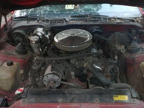 10464 10151076806776889 835518535 n