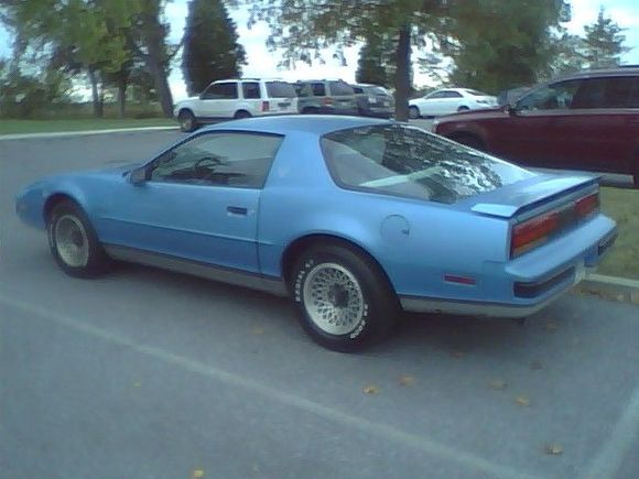 Just after purchase!
$700.00 at auction.