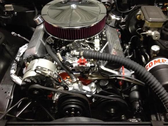 zoo much better than a crossfire 305