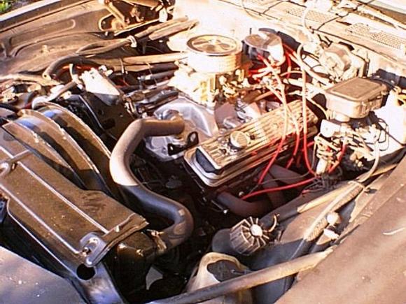 This is my 350 currently installed in my 81 Camaro