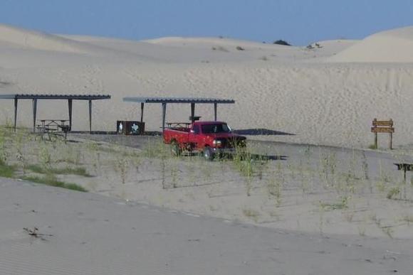 at Monahans Sand Hills State Park, Monahans, Texas