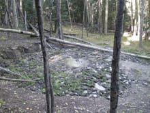 my favorite Elk wallow , quite a few bears , cats and deer come into here early a.m.