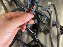 new injector plugs