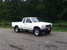 nice spot in the woods