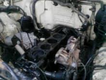 tube from my radiator blew out and had no water for a bit, blew y head gasket, quick fix,