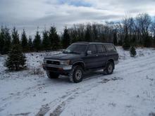 X-mas tree shopping