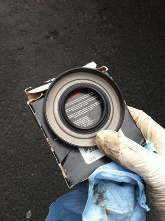 All cleaned up
New gasket installed