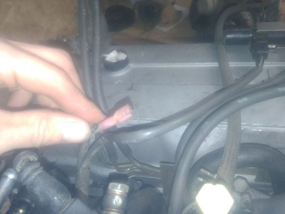 This is my o2 wire, yours will be different, note the shielding and where it exits the sheathing.