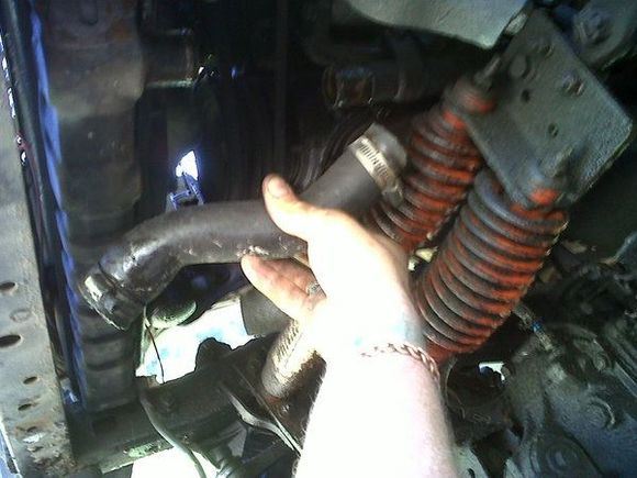 Lower coolant hose replaced, Utah