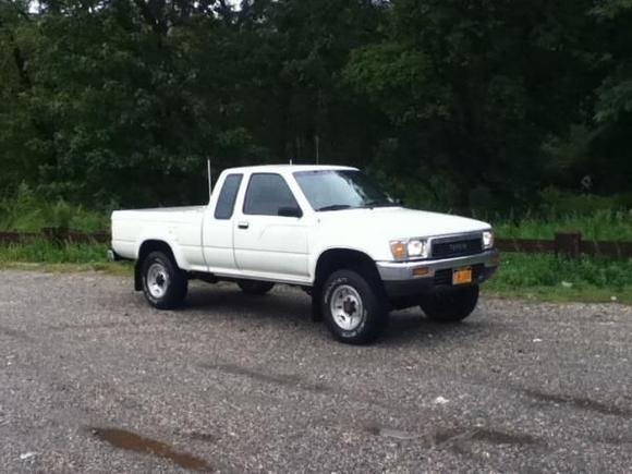 nice spot in the woods