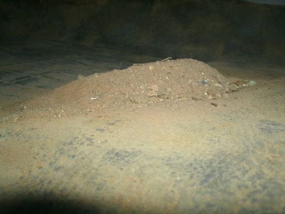 600xCarpet dirtpile1