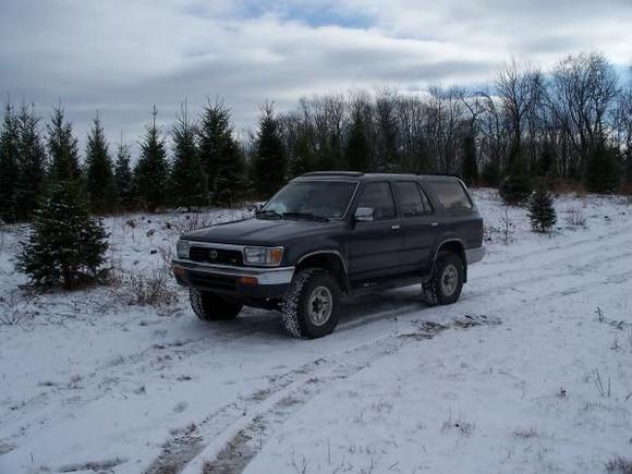 X-mas tree shopping
