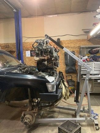 Here's why I made it bow down! 3.0 gone!