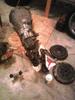 300ZX Project
