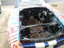 cleaned up engine bay 3