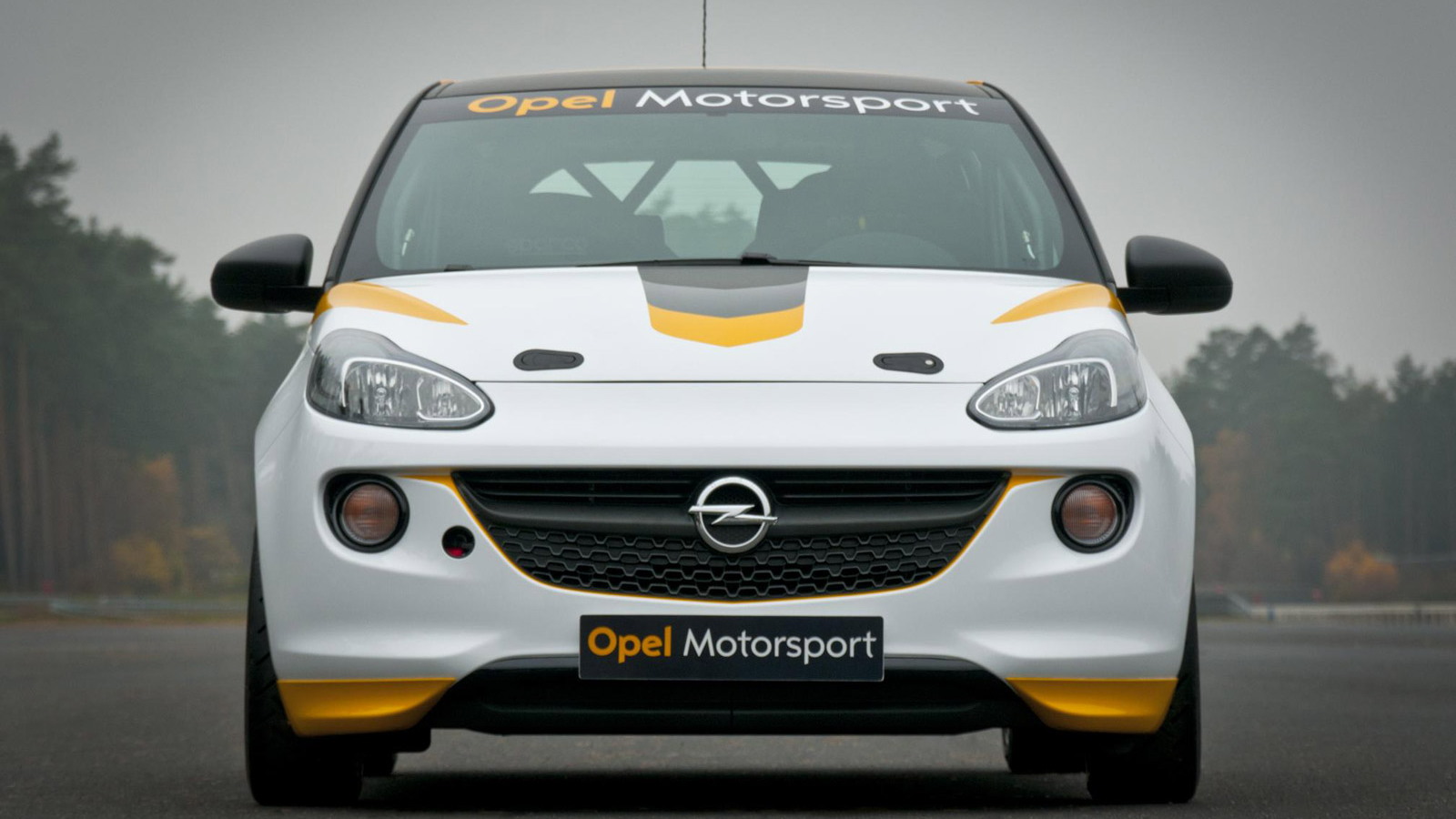 2013 Opel Adam Cup race car