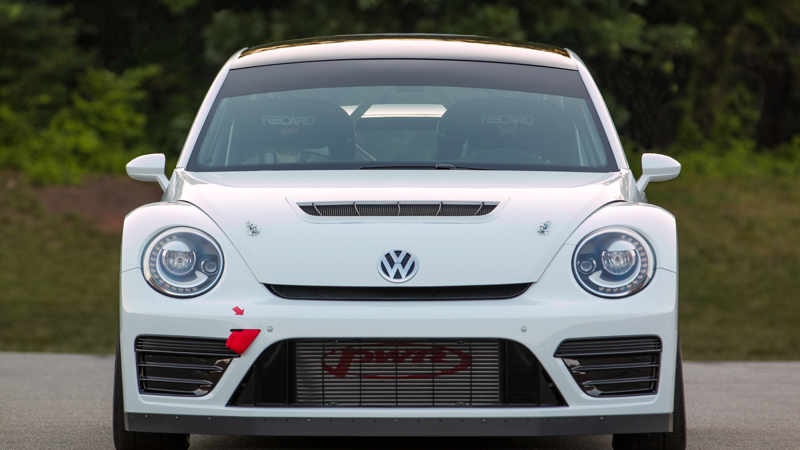 2014 Volkswagen Beetle Global Rallycross Championship car