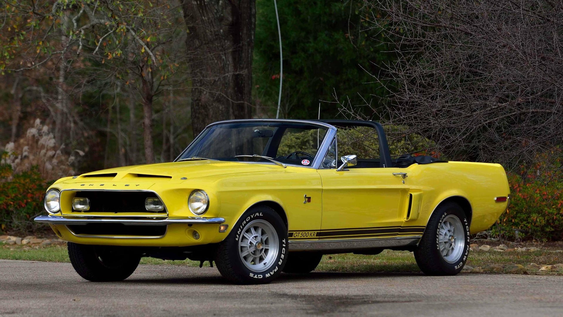 Jim McMurrey collection, 1968 Shelby GT500KR convertible