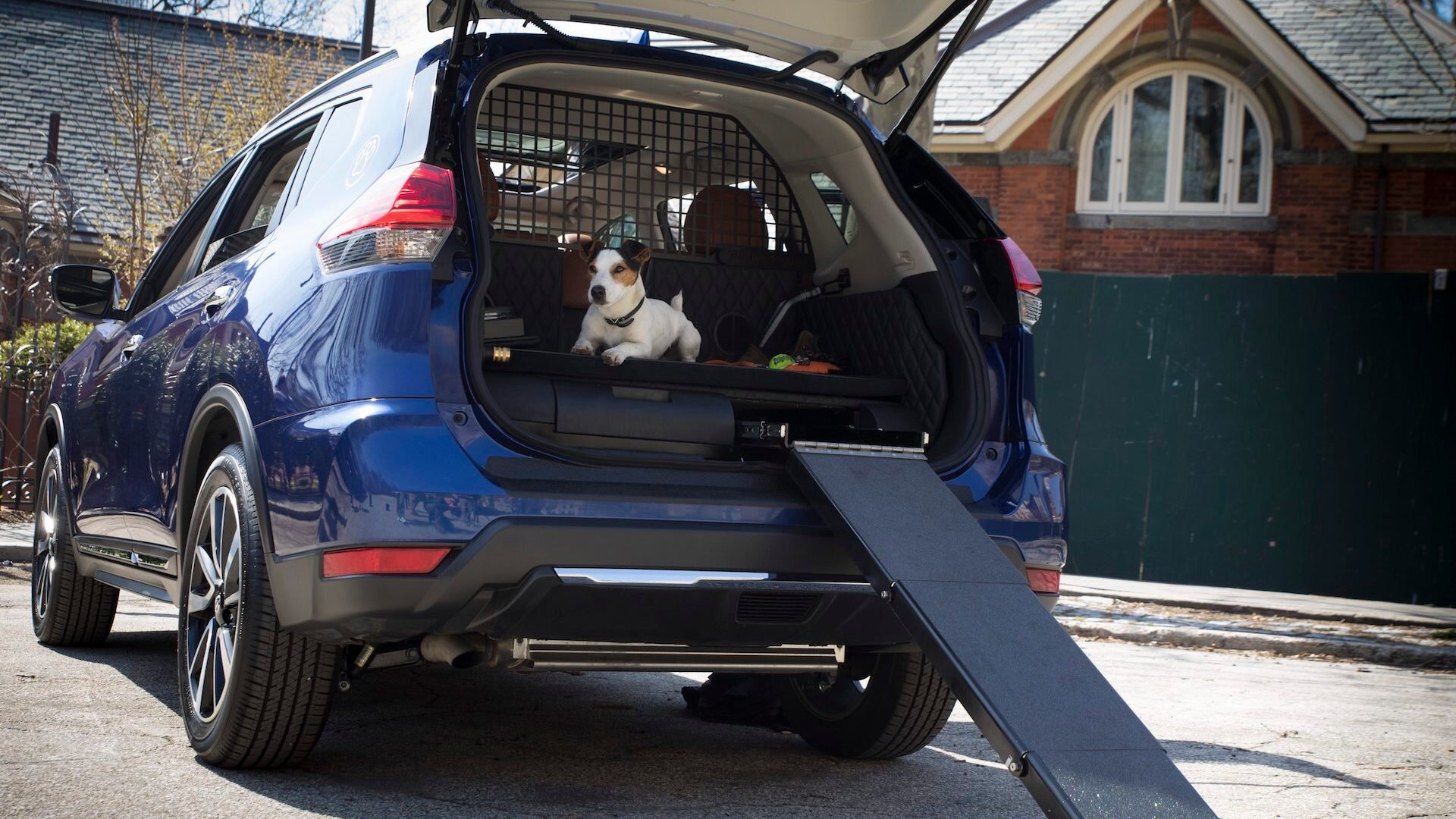 Nissan Rogue Dogue Project
