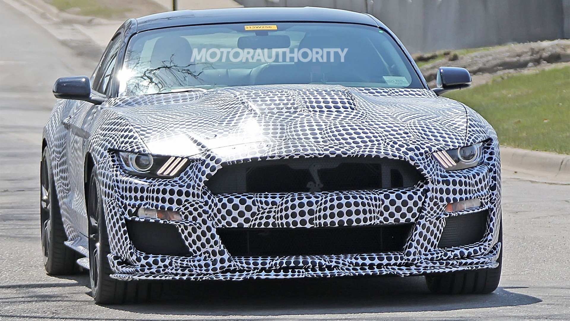 2020 Ford Mustang Shelby GT500 spy shots - Image via S. Baldauf/SB-Medien