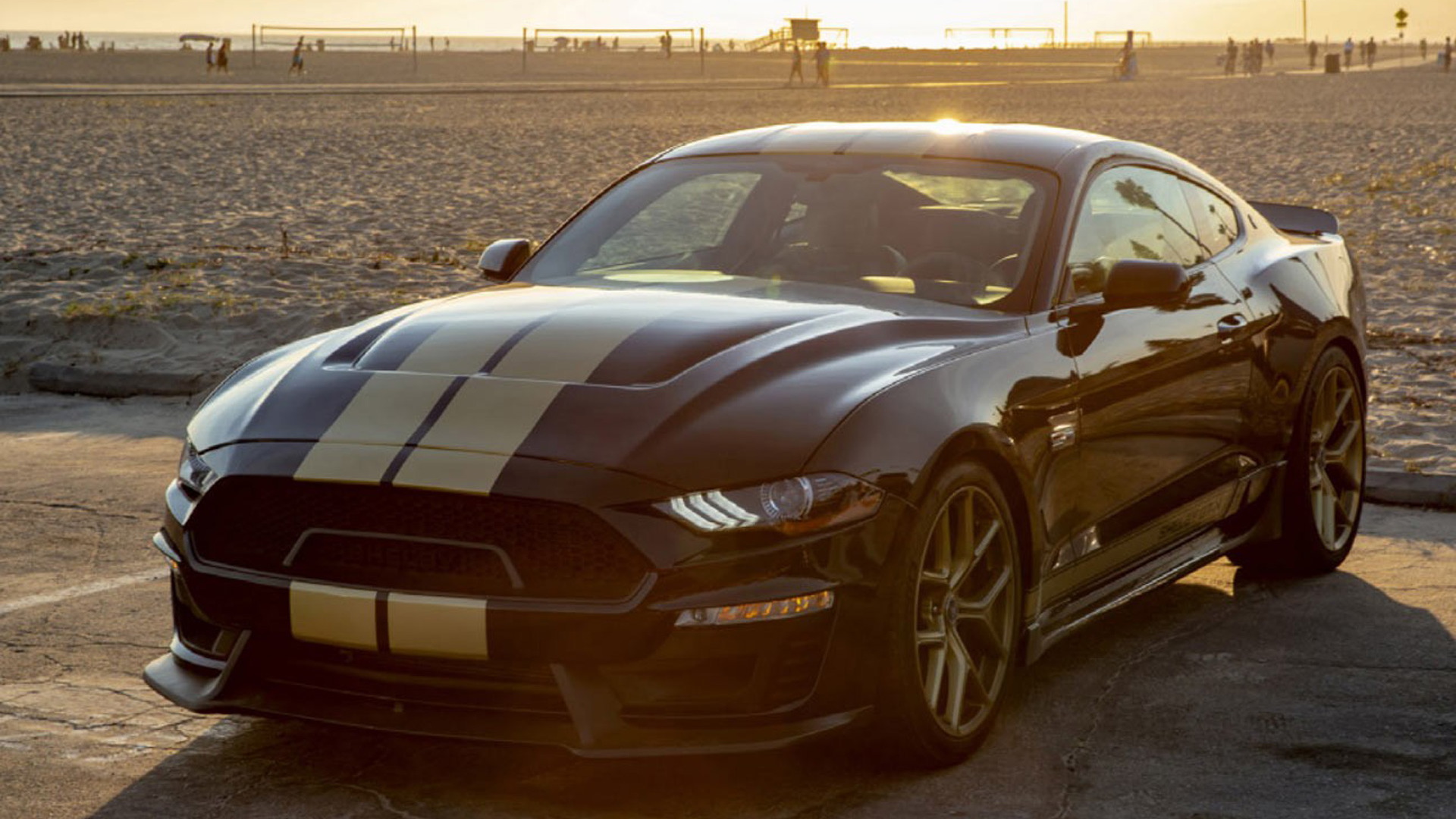 2019 Ford Shelby GT