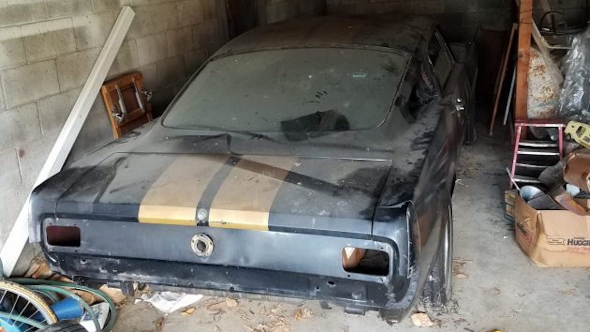 1966 Ford Shelby GT350H barn find