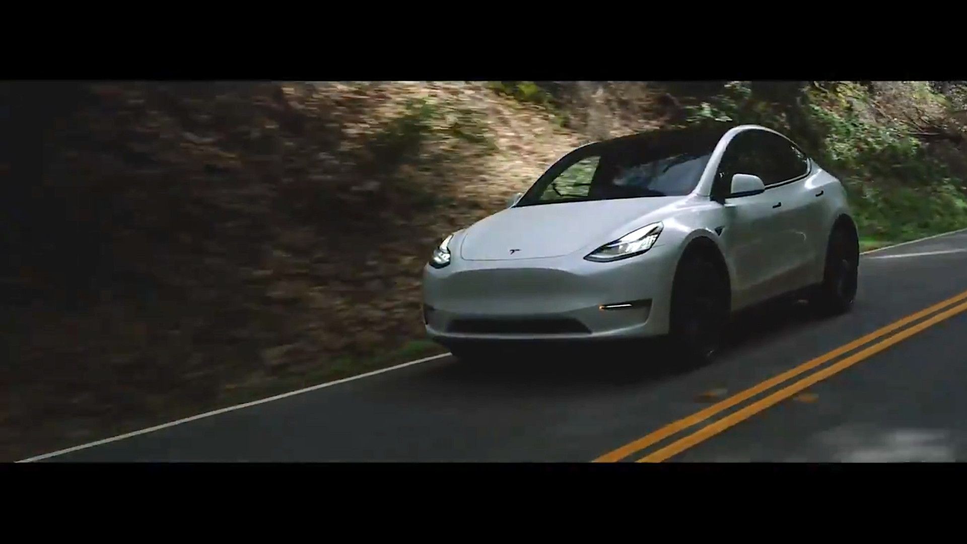 2020 Tesla Model Y