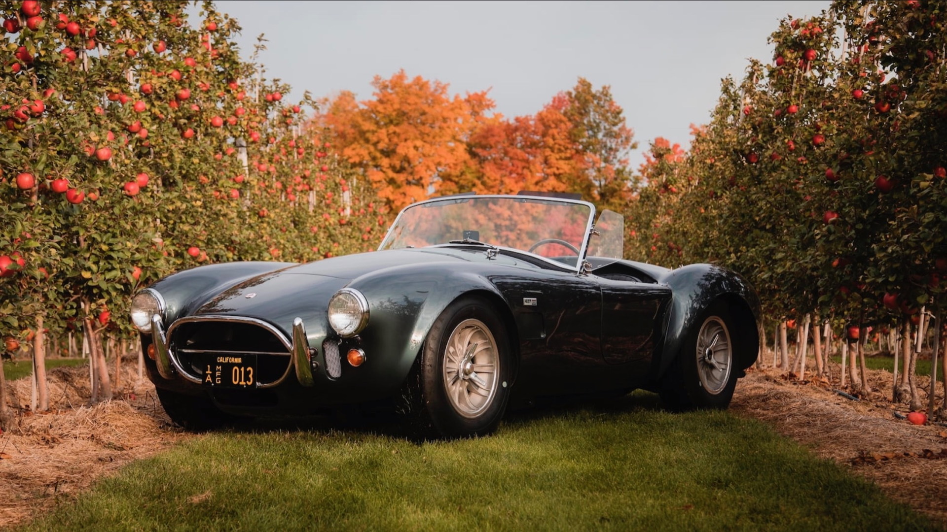 1965 Shelby 427 Cobra owned by Carroll Shelby - Photo Credit: Mecum Auctions