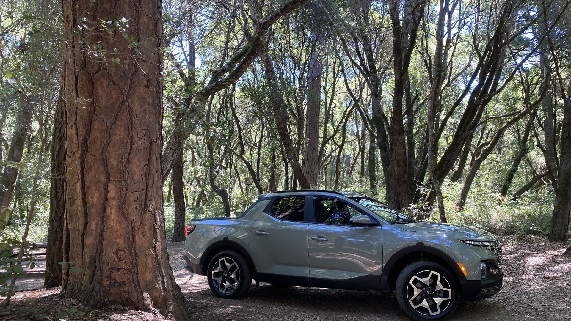 First Drive Review 2022 Hyundai Santa Cruz Cures The Common Crossover