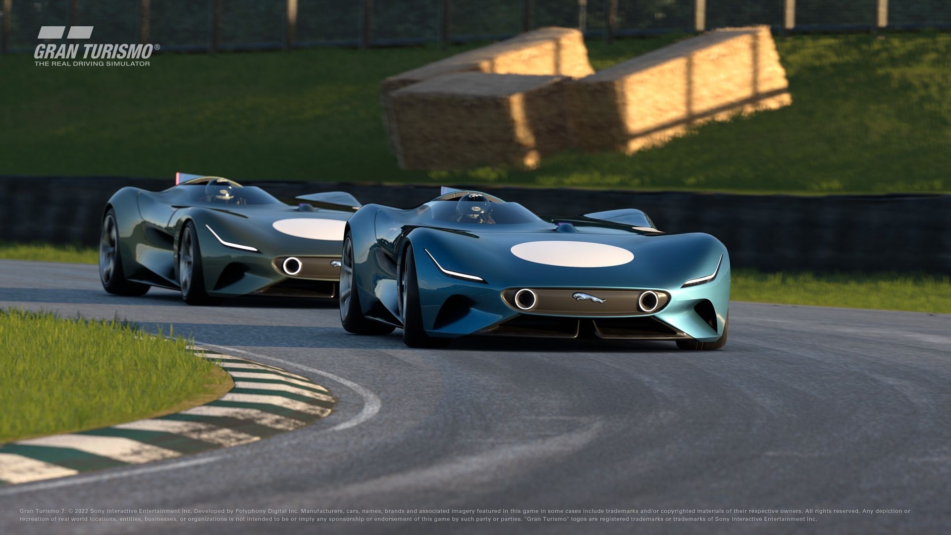 Jaguar Vision Gran Turismo Roadster concept
