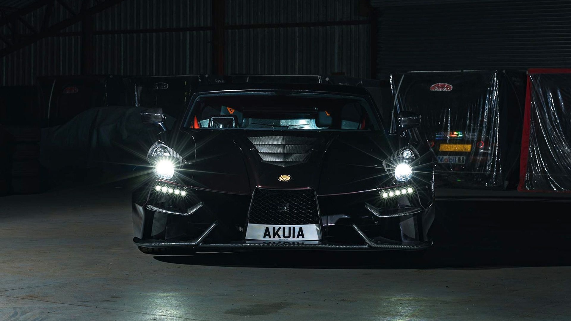 Ginetta Akula