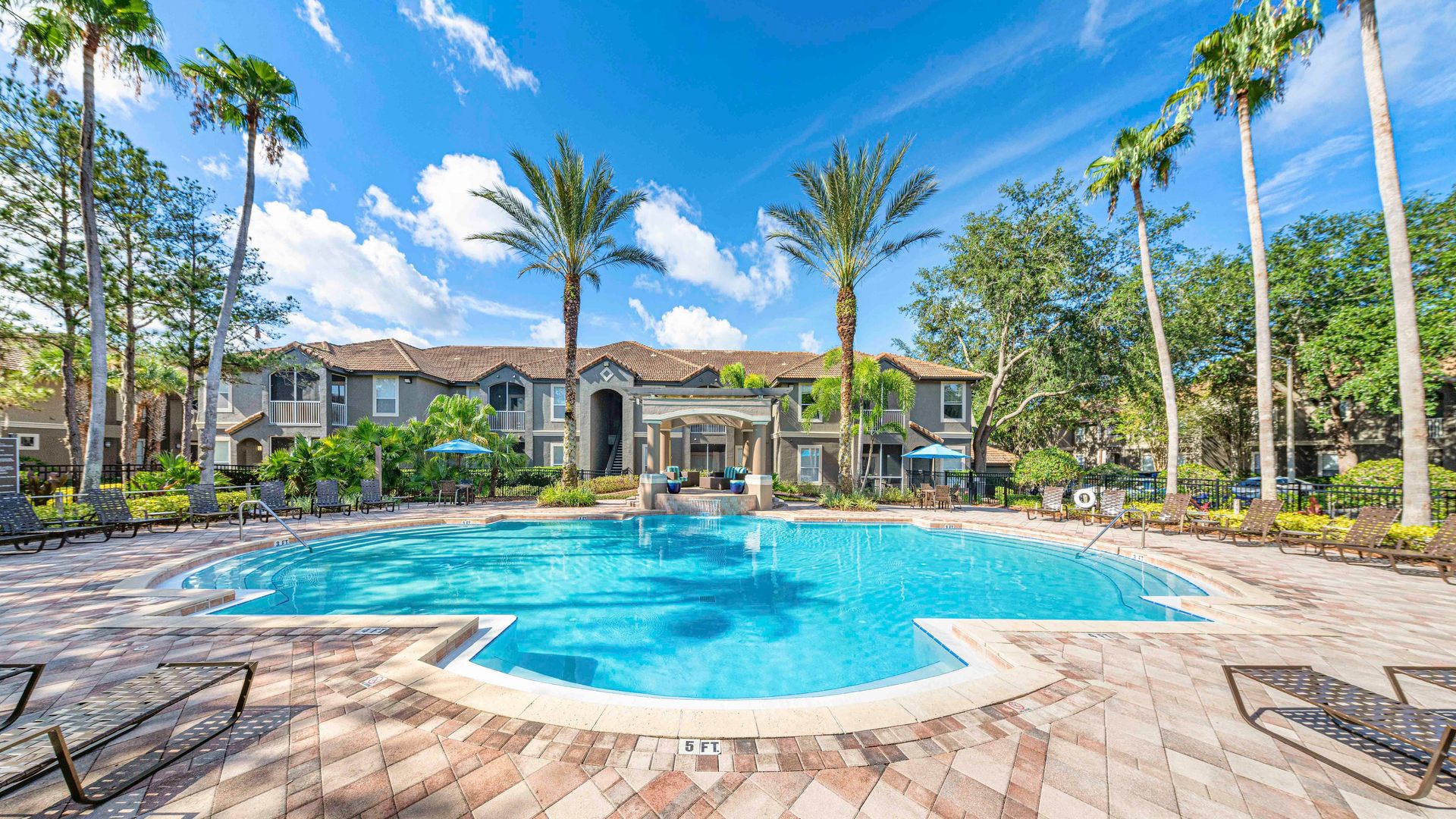 Palm Harbor, FL Apartments for Rent Near Me