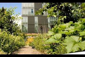 manager photo uploaded on 12302016 image of cyan pdx apartments