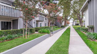 Briarwood Apartments - Tustin, CA