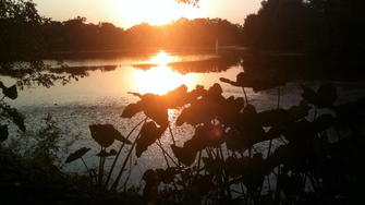 Lakeside Villas - Baton Rouge, LA