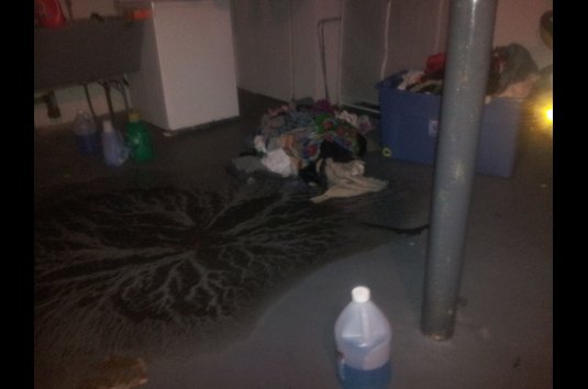 Oak Park Manor - 53 Reviews | Oak Park, MI Apartments for Rent | ApartmentRatings©