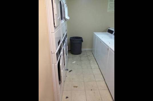 Huntington Apartments 82 Reviews College Station Tx