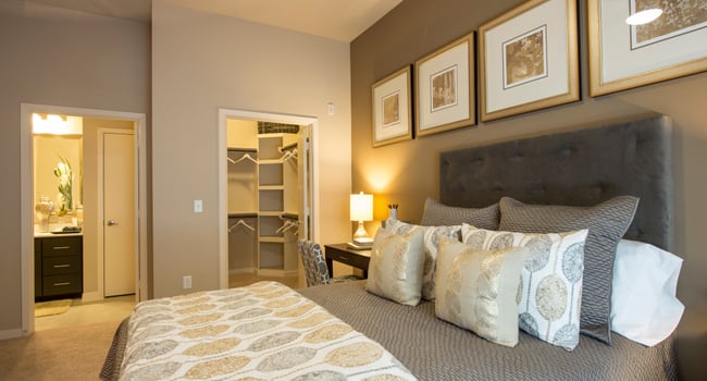 Elan Med Center Luxury Apartments 76 Reviews Houston Tx