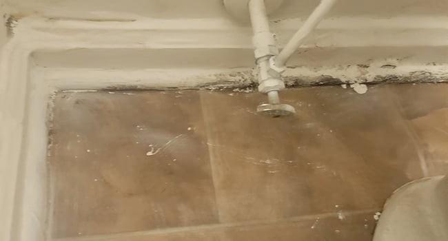 A "fixed" issue with black mold