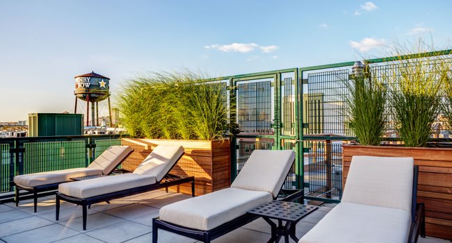 McHenry Row Apartments 137 Reviews Baltimore, MD