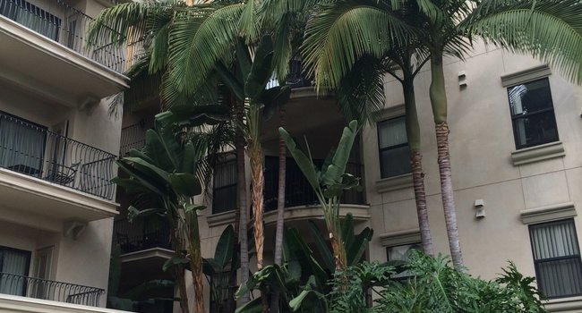 Medici 578 Reviews Los Angeles Ca Apartments For Rent