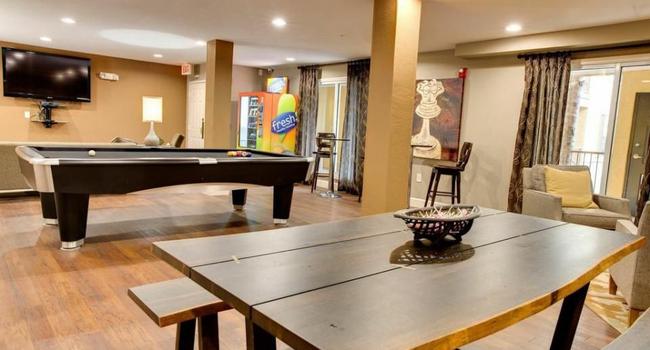 University Linq 216 Reviews Tampa Fl Apartments For