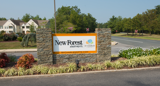 New Forest Apartments - Waldorf MD