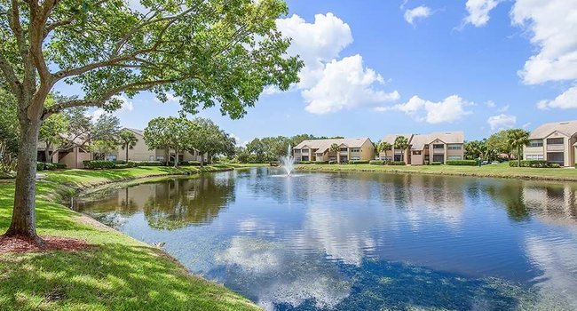 BayVue - 78 Reviews | Tampa, FL Apartments for Rent | ApartmentRatings©