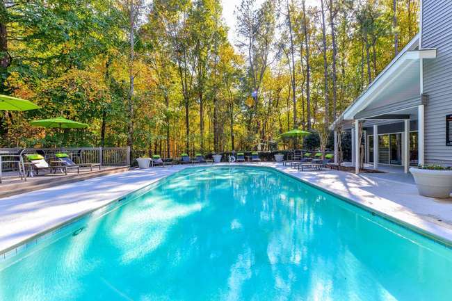 Stewart's Mill Landing Apartments - 48 Reviews | Douglasville, GA